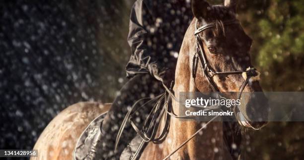 female rider on horse jumping through a water curtain - jockey racehorse stock pictures, royalty-free photos & images