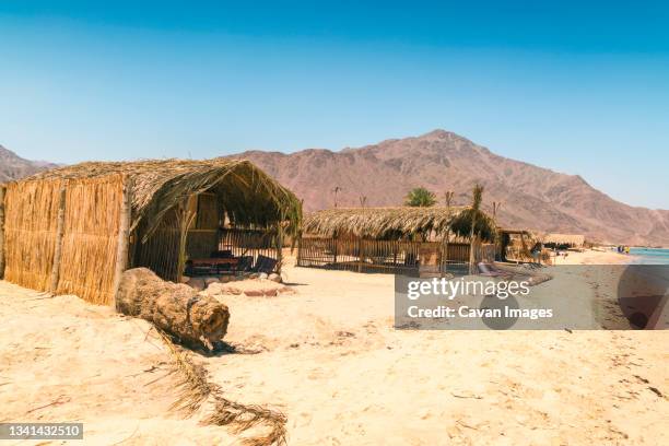 straw huts for accommodation on beach during daytime, nuweiba, southern sinai, egypt - nuweiba beach stock pictures, royalty-free photos & images