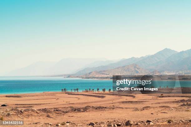 bay close to nuweiba city with palm trees and mountains on background, nuweiba, southern sinai, egypt - nuweiba beach stock pictures, royalty-free photos & images