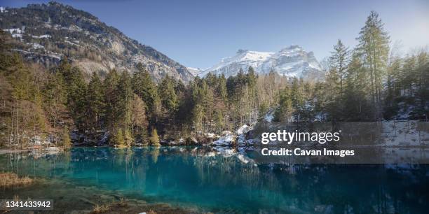 blausee lake, bern canton, switzerland - blausee stock-fotos und bilder