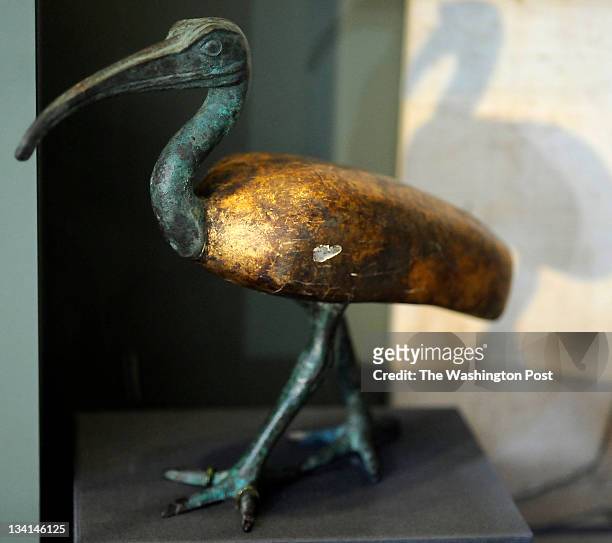 November 10, 2011: A bronze, wood, and gold leaf ibis standing from 320-30 B.C. Is part of the exhibit, "Eternal Life in Ancient Egypt" that opens...