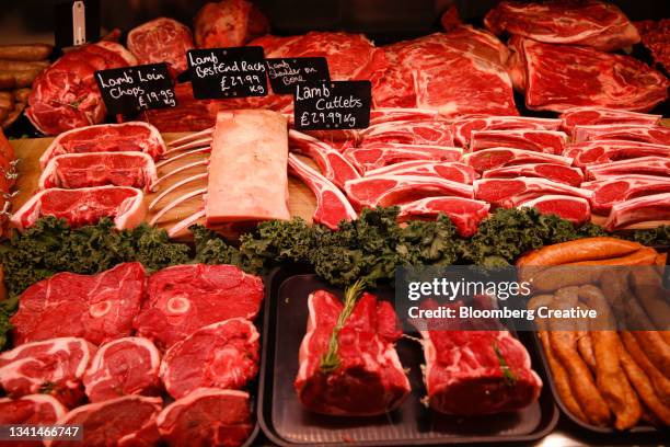 lamb on display at a butcher shop - lamm fleisch stock-fotos und bilder