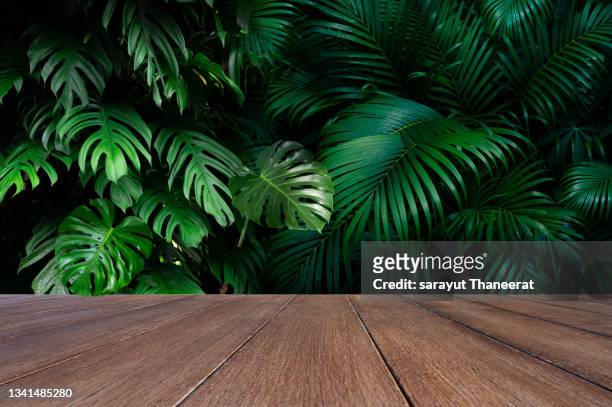 the wooden floor is used to stand the product. the background is a tropical forest. - tavolo foto e immagini stock