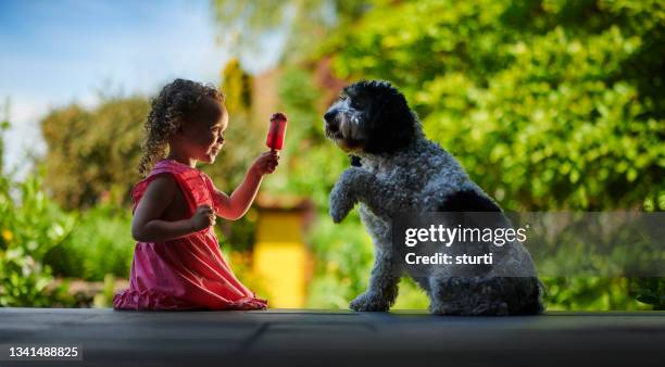 kleines mädchen, das eis teilt - dog eating a girl out stock-fotos und bilder