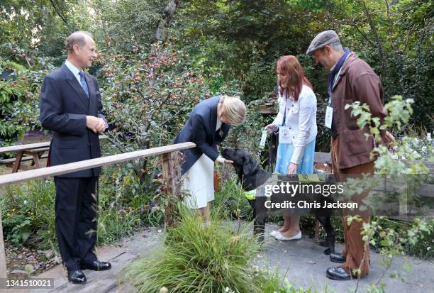 Sophie, Countess of Wessex and Prince Edward Earl of Wessex meet a guide dog during a visit to the Autumn RHS Chelsea Flower Show on September 20,...