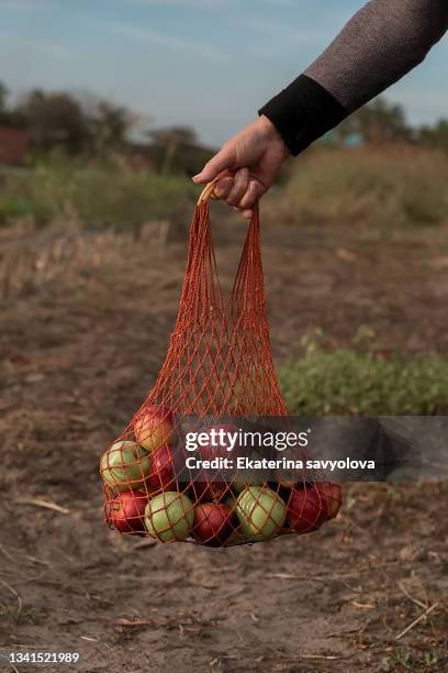 apples in a mesh bag on the background of the garden. - chariots et charrettes photos et images de collection