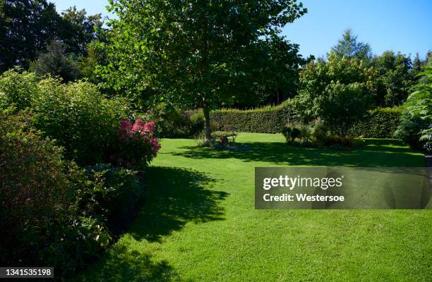 park like private garden - trädgård bildbanksfoton och bilder