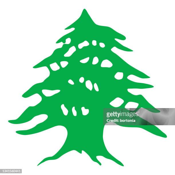 lebanese republic (lebanon) cedar tree - lebanon stock illustrations