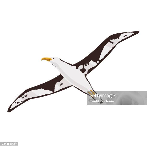midway atoll flag symbol - sea bird stock illustrations