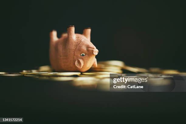 kopf stehendes schwein auf haufen goldmünzen - lost money stock-fotos und bilder