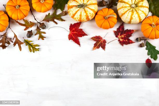 festive autumn decor with pumpkins and leaves  on white wooden background. - canadian thanksgiving stock-fotos und bilder