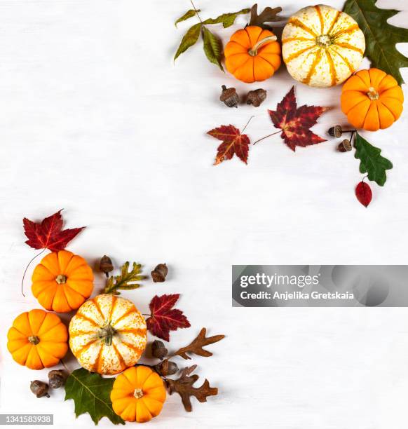 festive autumn decor with pumpkins and leaves  on white wooden background. - thanksgiving background bildbanksfoton och bilder