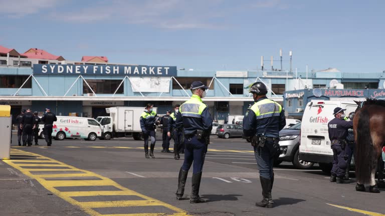 Fish In Riot Nsw Police Mounted Unit Videos and HD Footage - Getty Images