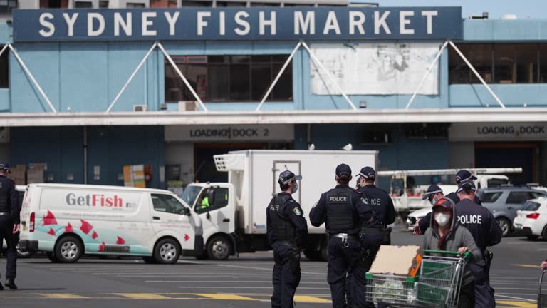 Fish In Riot 15 Nsw Police Mounted Unit Stock Videos, Footage, & 4K Video Clips ...