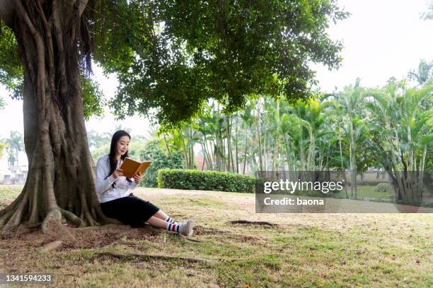 junge frau liest buch unter einem baum - under the skirt stock-fotos und bilder