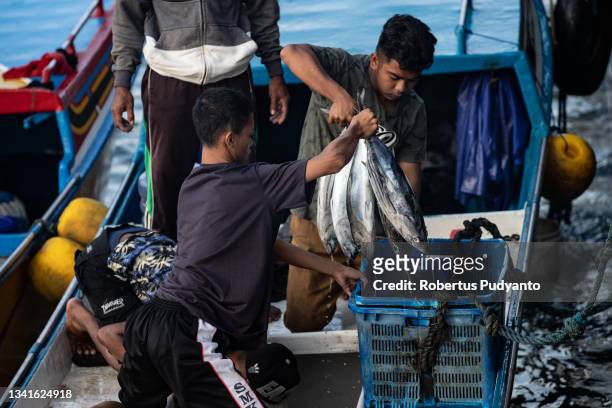 Fishermen unload cakalang at the Hamadi traditional fish market on September 21, 2021 in Jayapura, Irian Jaya, Indonesia. Papua, formerly known as...