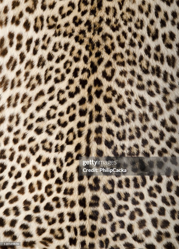 Leopard Skin/Hide