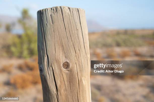 close-up of a wooden post. - stakes day stock pictures, royalty-free photos & images