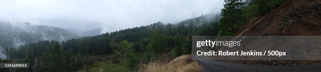 Panoramic view of road amidst trees against sky,Tillamook State Forest,Oregon,United States,USA