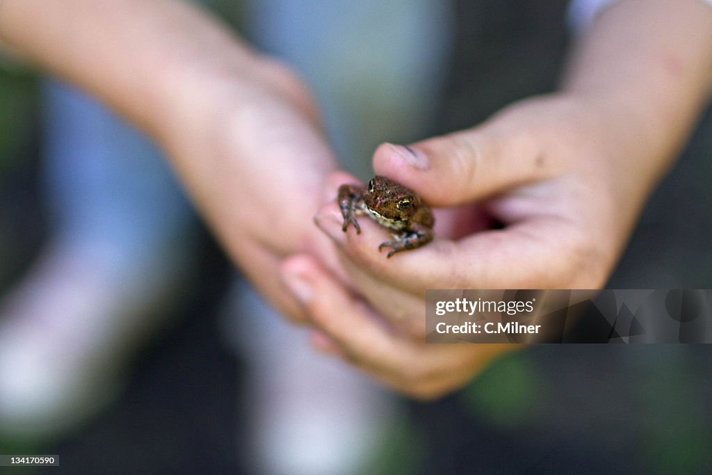 Child hands holding from with inscet