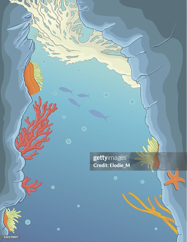 Deep sea background