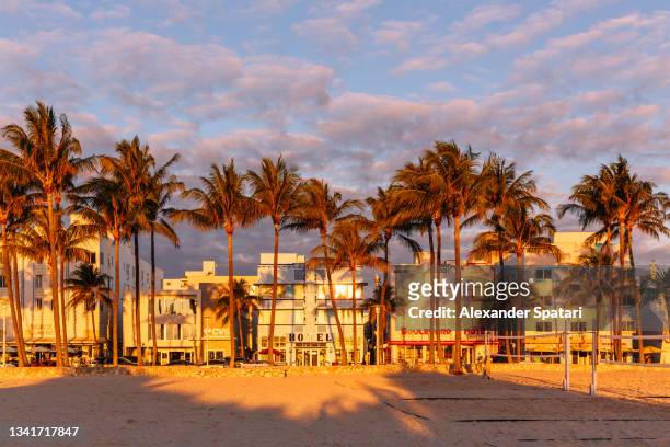 ocean drive and lummus park in the morning at sunrise, south beach, miami, usa - florida usa stock-fotos und bilder