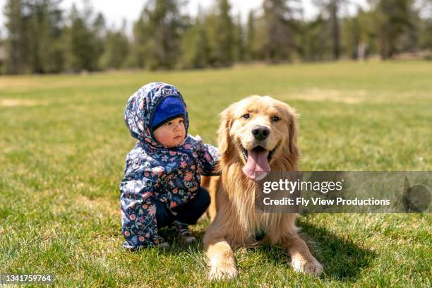 adorable mixed race baby girl playing with her pet dog outside - golden retriever stock pictures, royalty-free photos & images