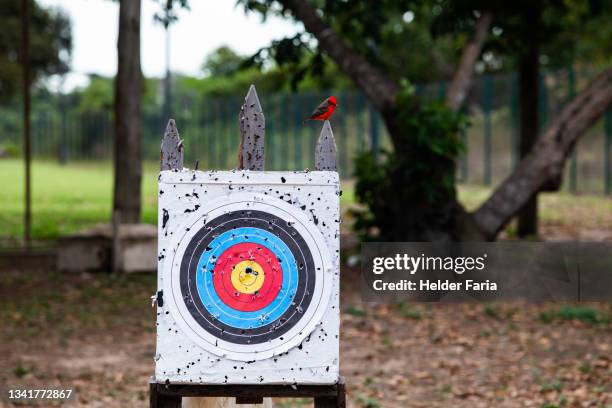 paper target in shooting range. yellow spot in a center. - shooting a weapon - fotografias e filmes do acervo