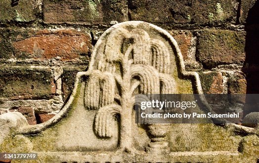Close-up of Carved Weeping Willow on 19th Century Tombstone Close-up of Carved Weeping Willow on 19th Century Tombstone