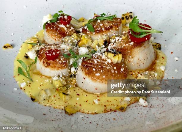 close-up of seared scallops and polenta - seared stock pictures, royalty-free photos & images