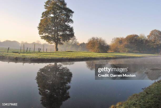 reflection in water of tree - bridgewater hall stock pictures, royalty-free photos & images