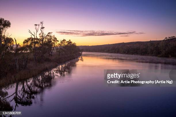 sunrise at younghusband, lower murray river, south australia - murray river foto e immagini stock