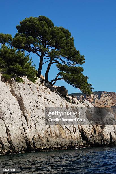 mediterranean sea shore - bernard grua stock-fotos und bilder