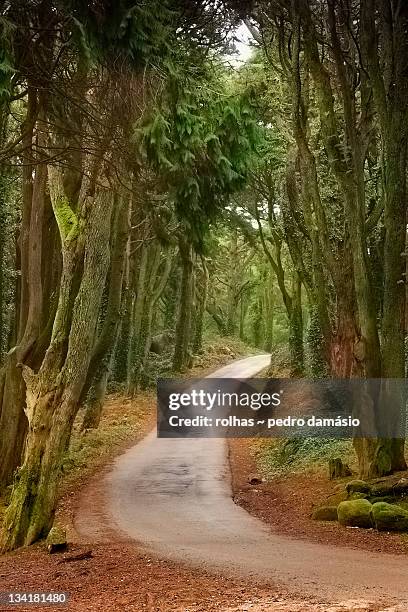 pathway - rolhas stockfoto's en -beelden