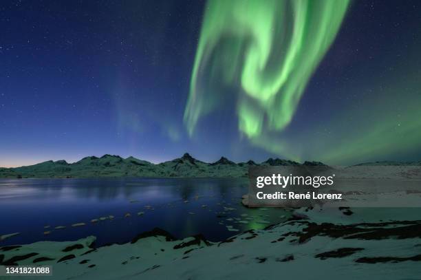 aurora borealis, tasiilaq, ammassalik, grönland - ammassalik stock-fotos und bilder