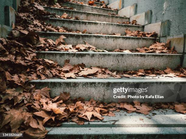 falling leaves on the stairs, autumn season - death stock pictures, royalty-free photos & images