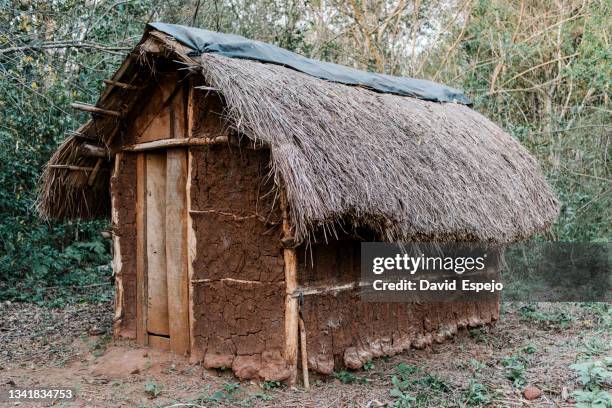 rustic mud house with a thatched roof. - thatched roof huts stock pictures, royalty-free photos & images