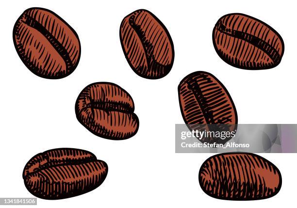 506点のコーヒーの実イラスト素材 Getty Images 506点のコーヒーの実イラスト素材 Getty Images