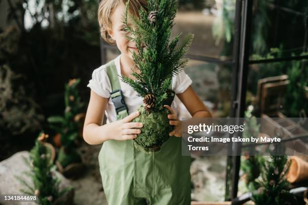 boy holding a small christmas tree and smiling behind - before christmas foto e immagini stock