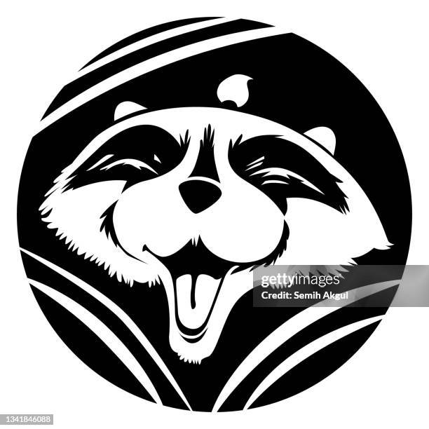 raccoon vector illustration - squirrel isolated stock illustrations