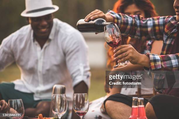 time to serve everyone a glass of wine to celebrate our longlasting friendship - mexican picnic stockfoto's en -beelden
