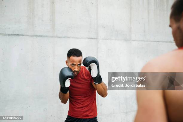 Boxing A Computer Man Punching Computer Photos and Premium High Res Pictures - Getty Images