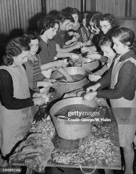 Volunteers peel potatoes in a makeshift kitchen in preparation of the daily meal served to refugees evacuated from London on 9th November 1939 at a...