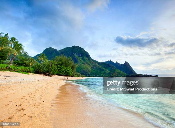 garden island kauai - v hawaii stock pictures, royalty-free photos & images