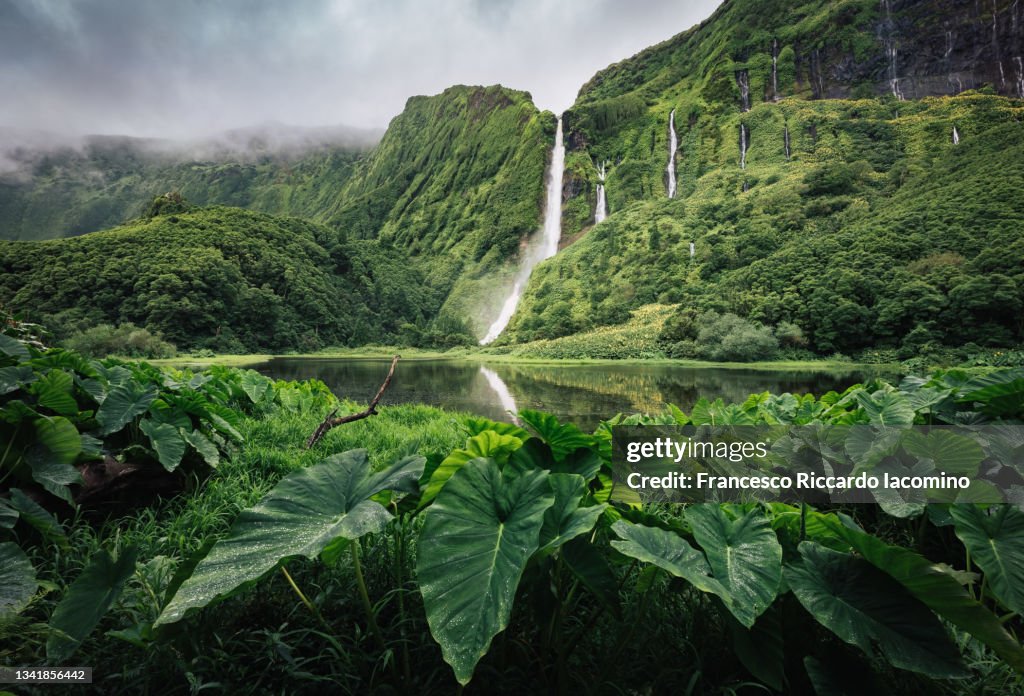 Poco da Ribeira do Ferreiro waterfalls on Flores Island, Azores. Awesome forest and falls