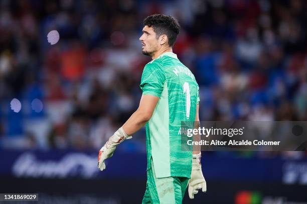 Matias Dituro of Celta de Vigo looks on during the La Liga Santander match between Levante UD and RC Celta de Vigo at Ciutat de Valencia Stadium on...