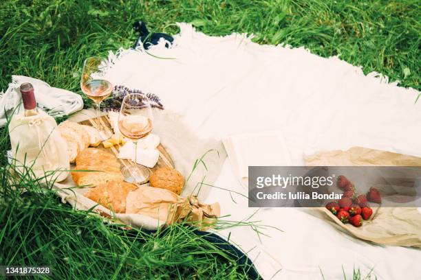 picnic in nature - wine basket stock pictures, royalty-free photos & images