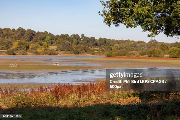 scenic view of lake against clear sky,east grinstead,united kingdom,uk - east grinstead imagens e fotografias de stock