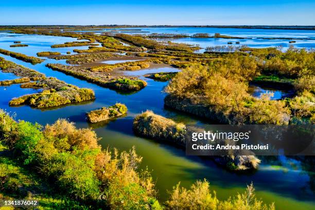 delta del po natural park, veneto, italy - fiume po foto e immagini stock