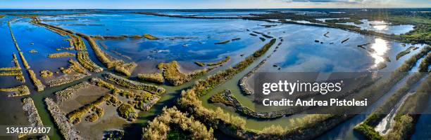 delta del po natural park, veneto, italy - fiume po foto e immagini stock